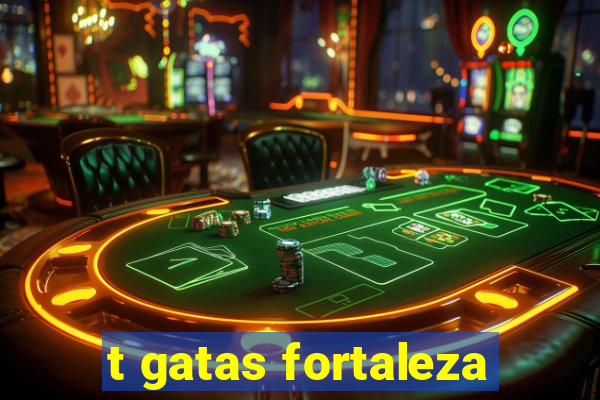 t gatas fortaleza